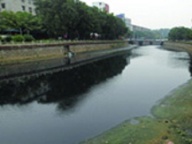 城市河道黑臭水体生态修复产品线